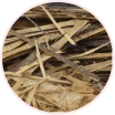 Fuel Image